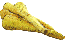 Parsnips