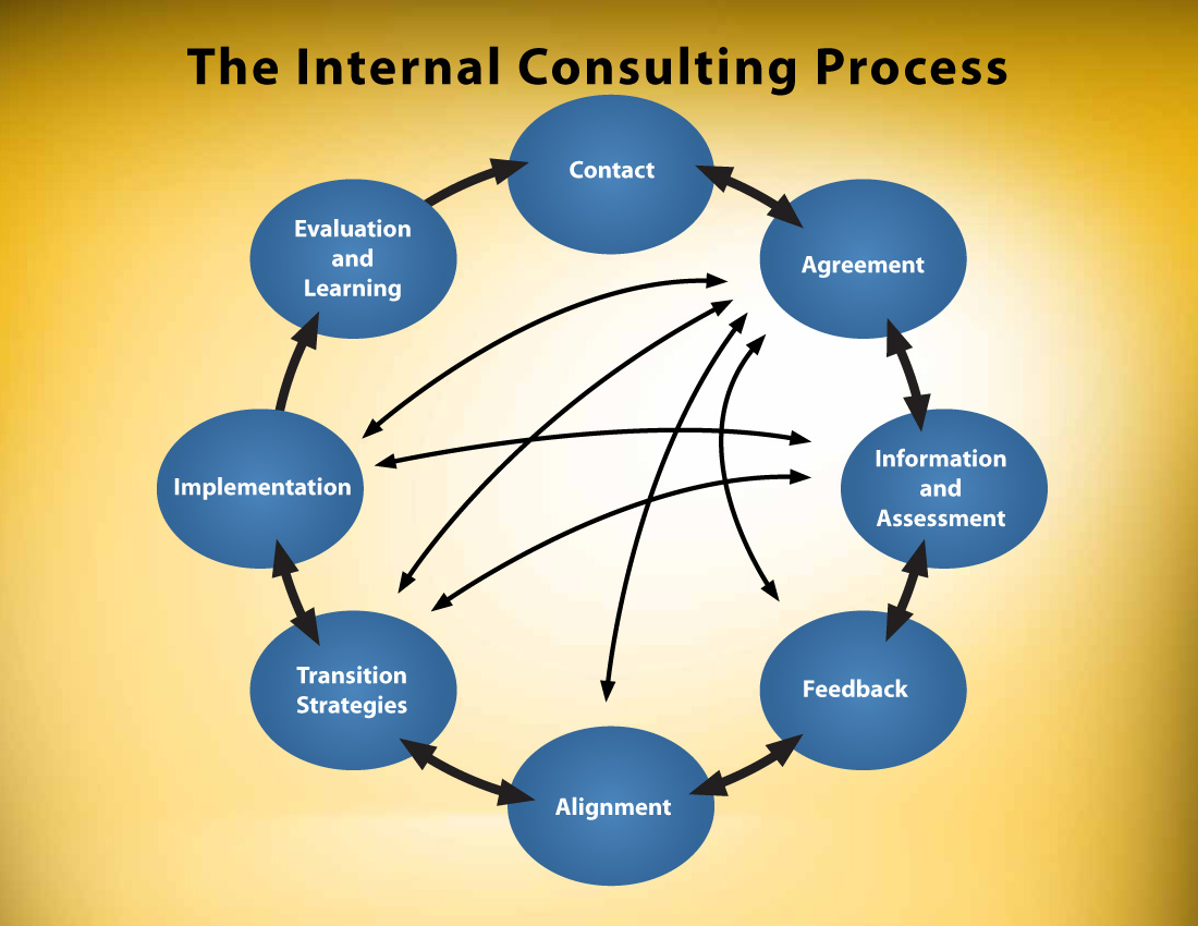 Internal Consulting Process