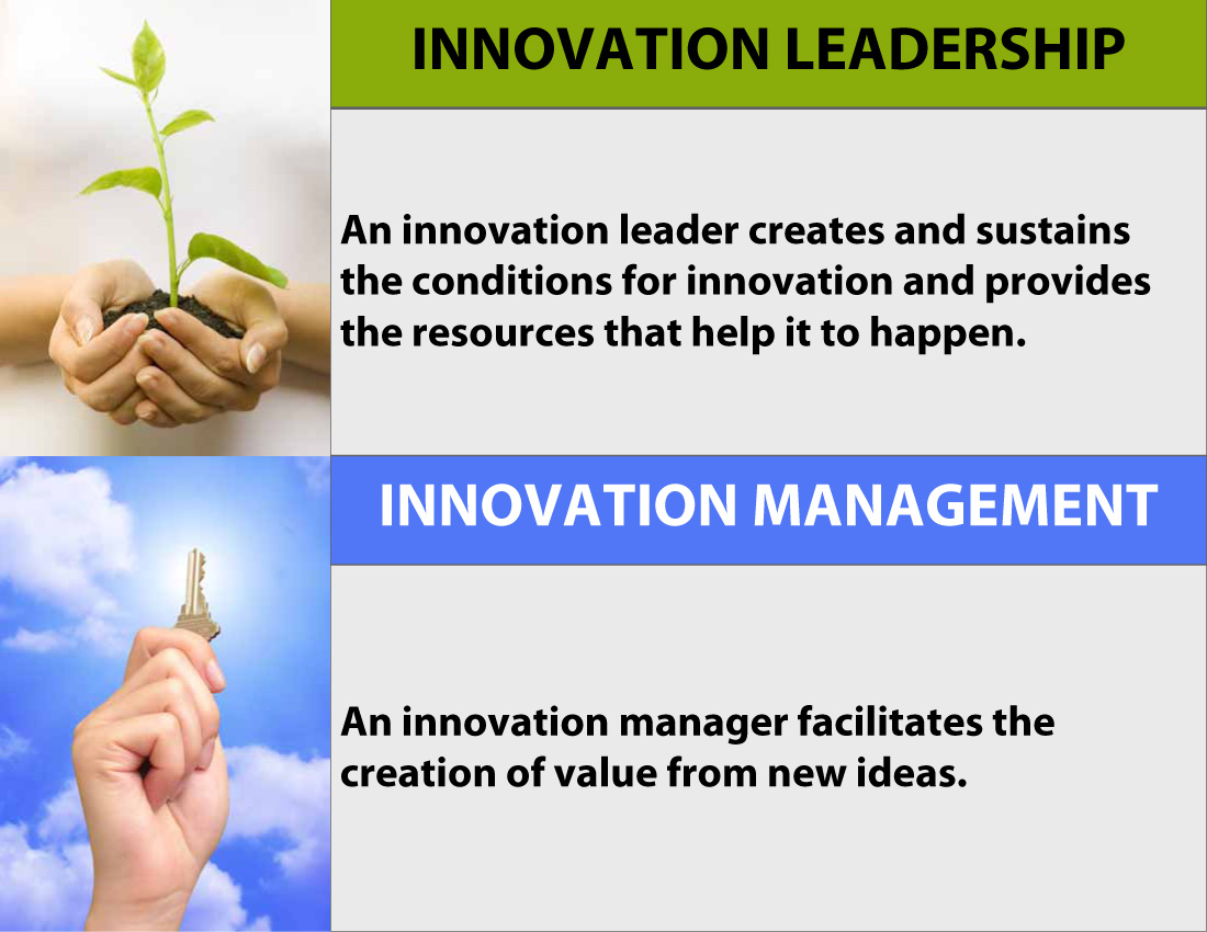 Innovation Managers